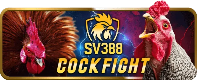 Hỗ trợ khách hàng 24/7 của 85win